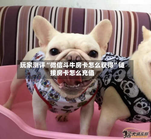 玩家测评“微信斗牛房卡怎么获得”链接房卡怎么充值-第2张图片