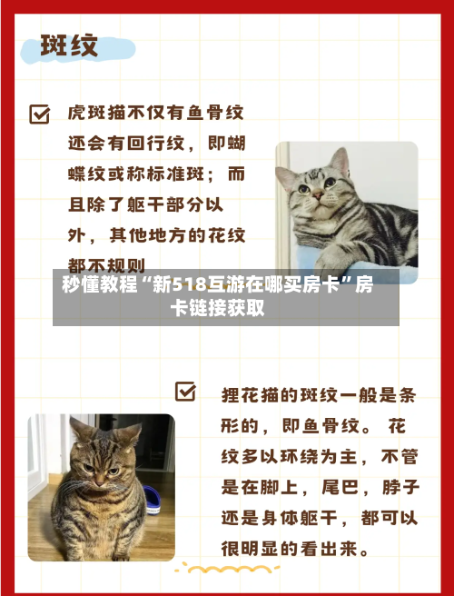 秒懂教程“新518互游在哪买房卡”房卡链接获取-第2张图片