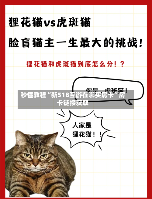 秒懂教程“新518互游在哪买房卡”房卡链接获取-第3张图片