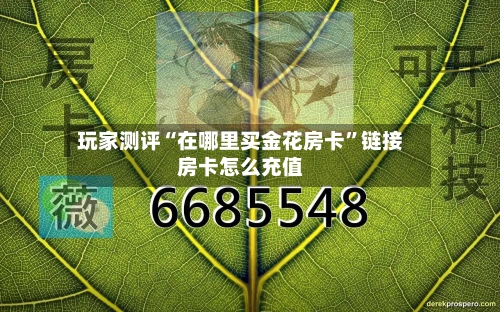 玩家测评“在哪里买金花房卡	”链接房卡怎么充值-第2张图片