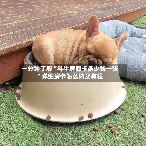 一分钟了解“斗牛房间卡多少钱一张”详细房卡怎么购买教程
