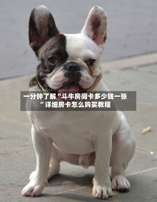 一分钟了解“斗牛房间卡多少钱一张”详细房卡怎么购买教程-第2张图片