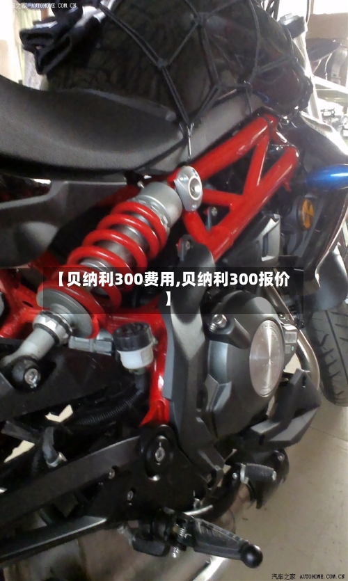 【贝纳利300费用,贝纳利300报价】-第3张图片