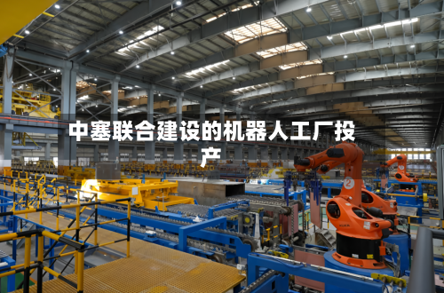 中塞联合建设的机器人工厂投产-第2张图片