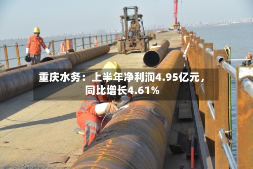 重庆水务：上半年净利润4.95亿元，同比增长4.61%-第3张图片