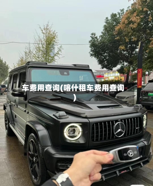 车费用查询(喀什租车费用查询)