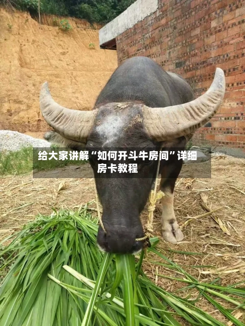 给大家讲解“如何开斗牛房间	”详细房卡教程-第2张图片