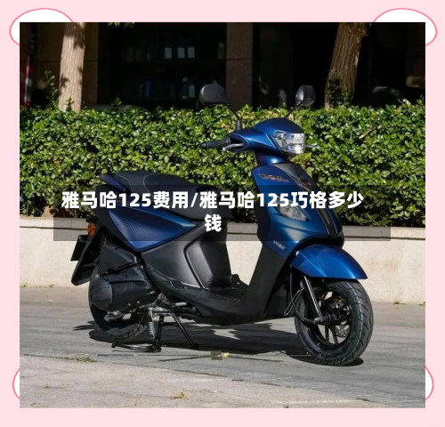 雅马哈125费用/雅马哈125巧格多少钱-第2张图片