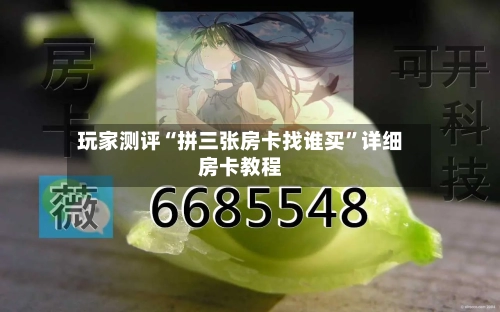 玩家测评“拼三张房卡找谁买”详细房卡教程
