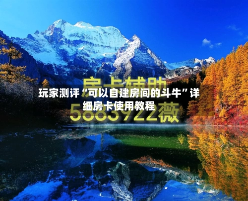 玩家测评“可以自建房间的斗牛”详细房卡使用教程-第3张图片