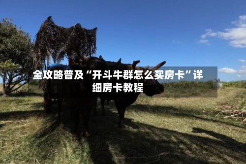 全攻略普及“开斗牛群怎么买房卡”详细房卡教程-第3张图片