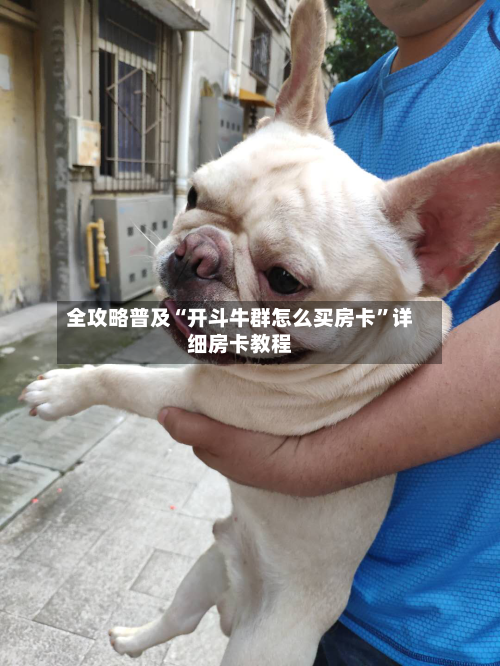 全攻略普及“开斗牛群怎么买房卡”详细房卡教程-第2张图片