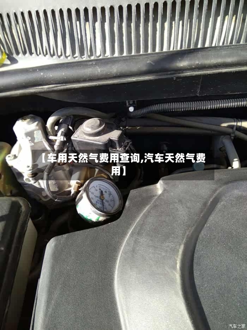 【车用天然气费用查询,汽车天然气费用】-第2张图片