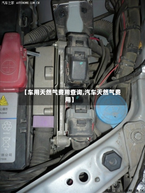 【车用天然气费用查询,汽车天然气费用】