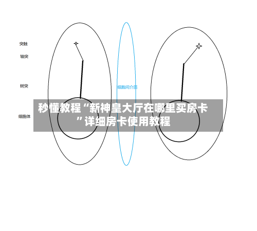 秒懂教程“新神皇大厅在哪里买房卡”详细房卡使用教程-第2张图片