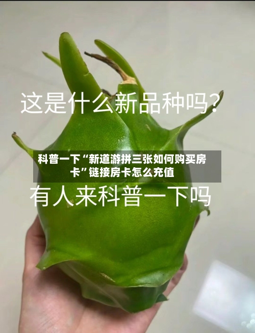 科普一下“新道游拼三张如何购买房卡”链接房卡怎么充值-第2张图片