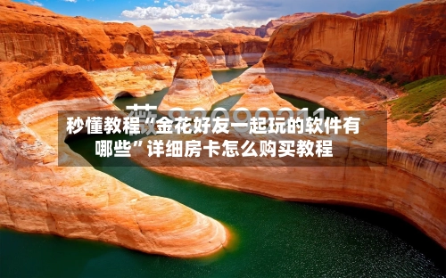 秒懂教程“金花好友一起玩的软件有哪些”详细房卡怎么购买教程-第2张图片