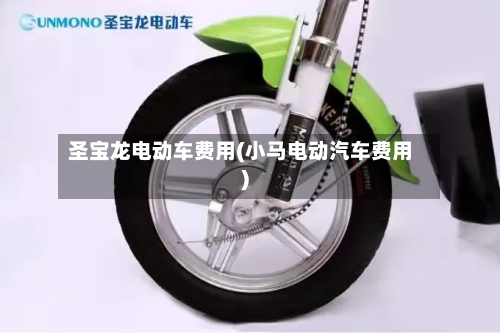圣宝龙电动车费用(小马电动汽车费用)-第2张图片