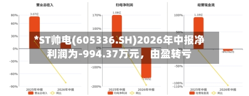 *ST帅电(605336.SH)2026年中报净利润为-994.37万元，由盈转亏-第2张图片