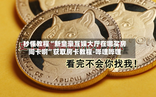 秒懂教程“新皇豪互娱大厅在哪买房间卡啊”获取房卡教程-哔哩哔哩-第2张图片
