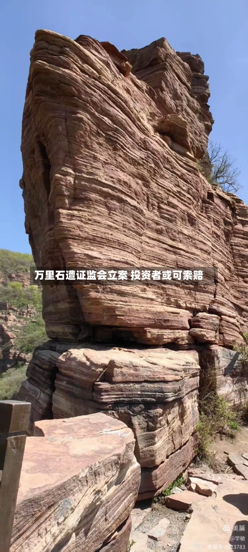 万里石遭证监会立案 投资者或可索赔