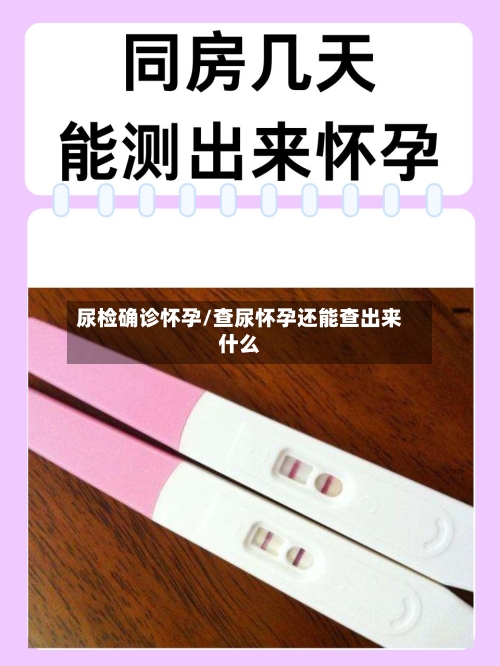 尿检确诊怀孕/查尿怀孕还能查出来什么