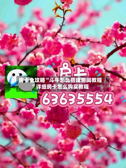 房卡全攻略“斗牛怎么搭建房间教程”详细房卡怎么购买教程-第3张图片