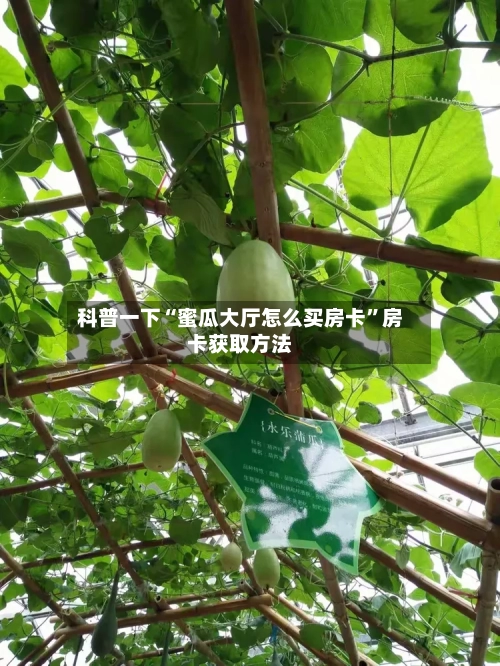 科普一下“蜜瓜大厅怎么买房卡”房卡获取方法