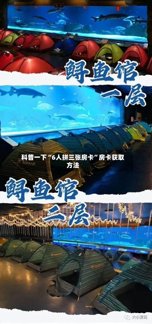 科普一下“6人拼三张房卡”房卡获取方法-第2张图片