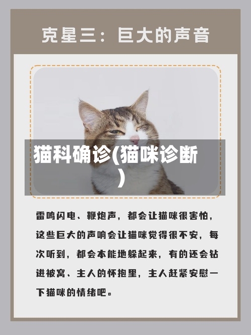 猫科确诊(猫咪诊断)
