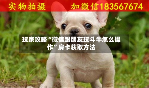 玩家攻略“微信跟朋友玩斗牛怎么操作”房卡获取方法-第2张图片