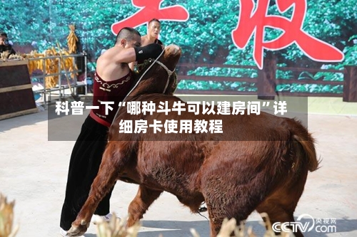 科普一下“哪种斗牛可以建房间”详细房卡使用教程-第3张图片