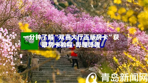一分钟了解“双喜大厅正版房卡	”获取房卡教程-哔哩哔哩-第2张图片