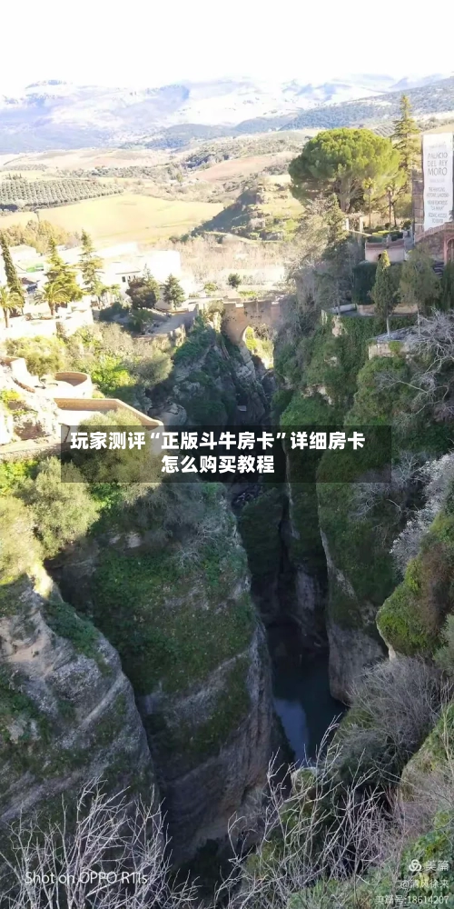 玩家测评“正版斗牛房卡”详细房卡怎么购买教程-第2张图片