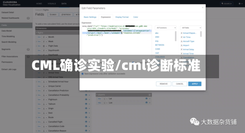 CML确诊实验/cml诊断标准-第3张图片