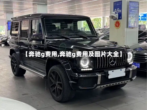 【奔驰g费用,奔驰g费用及图片大全】