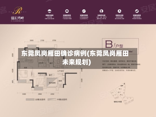 东莞凤岗雁田确诊病例(东莞凤岗雁田未来规划)-第3张图片