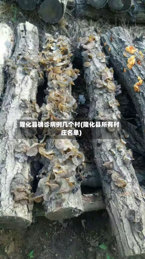 隆化县确诊病例几个村(隆化县所有村庄名单)-第2张图片