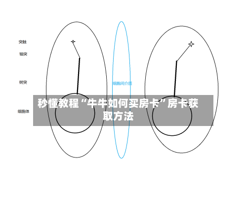 秒懂教程“牛牛如何买房卡”房卡获取方法-第3张图片
