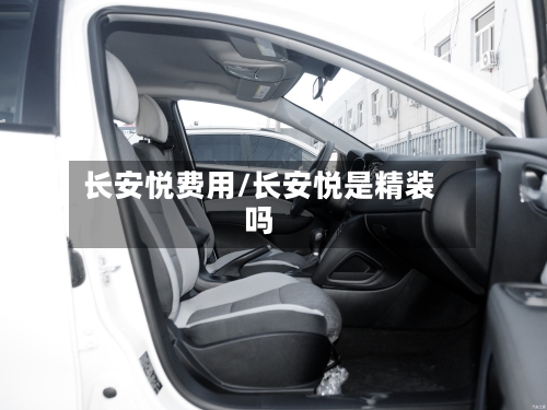长安悦费用/长安悦是精装吗