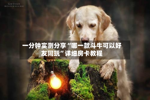 一分钟实测分享“哪一款斗牛可以好友同玩	”详细房卡教程-第2张图片