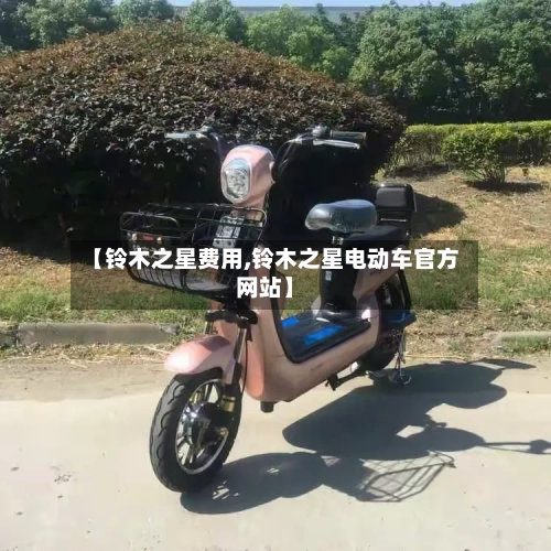 【铃木之星费用,铃木之星电动车官方网站】-第2张图片