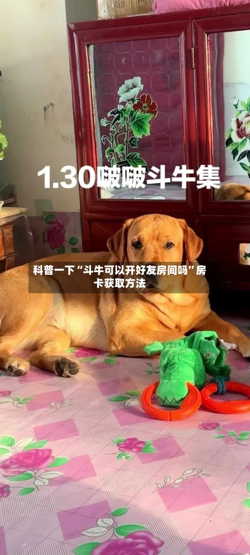 科普一下“斗牛可以开好友房间吗”房卡获取方法-第2张图片