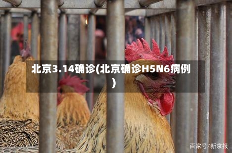 北京3.14确诊(北京确诊H5N6病例)-第2张图片