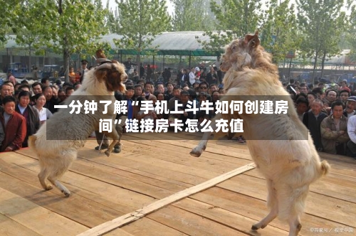 一分钟了解“手机上斗牛如何创建房间	”链接房卡怎么充值-第3张图片