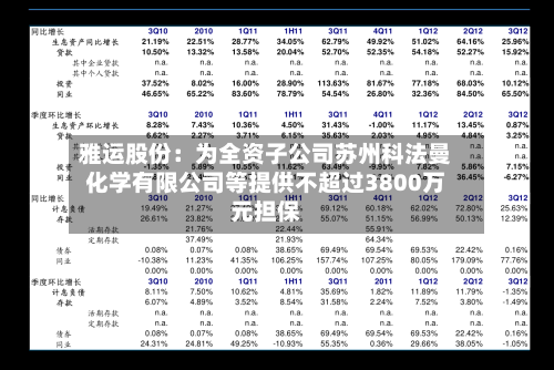 雅运股份：为全资子公司苏州科法曼化学有限公司等提供不超过3800万元担保