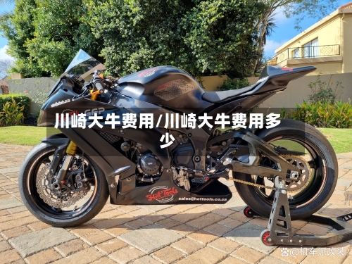 川崎大牛费用/川崎大牛费用多少