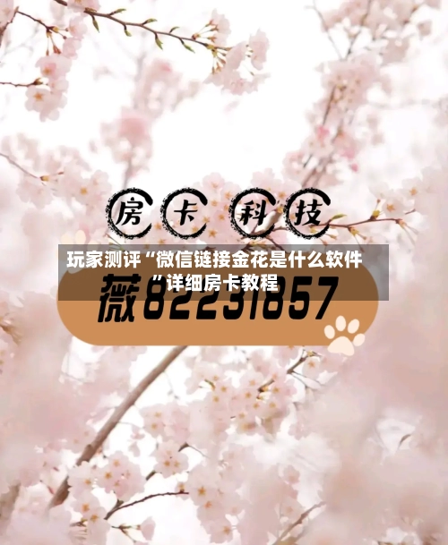 玩家测评“微信链接金花是什么软件”详细房卡教程