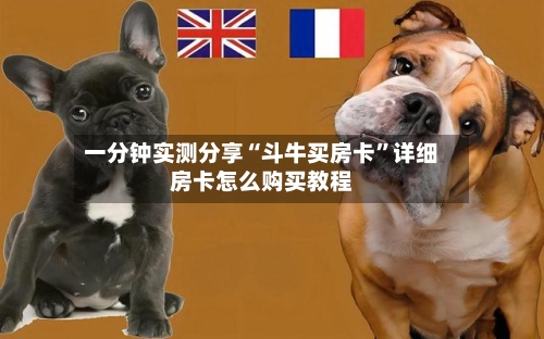 一分钟实测分享“斗牛买房卡	”详细房卡怎么购买教程-第2张图片