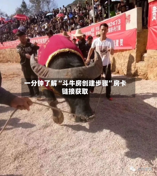 一分钟了解“斗牛房创建步骤”房卡链接获取
